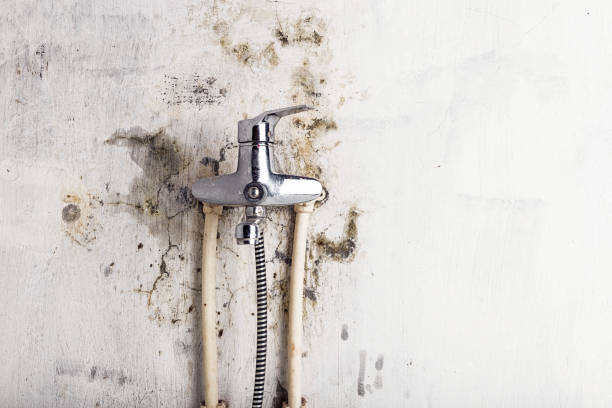 Best Mold Testing  in Manor, TX