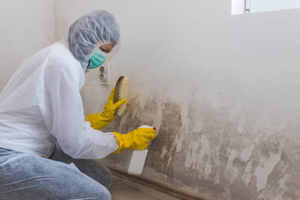 Best Mold Removal Process  in Manor, TX